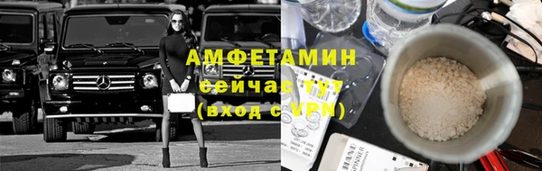 крисы Зеленокумск