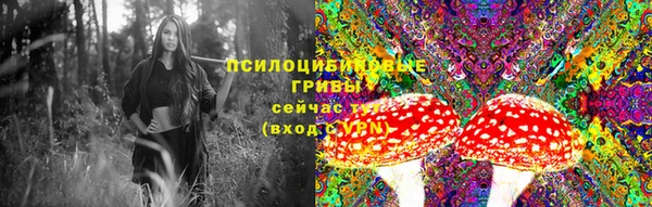 крисы Зеленокумск