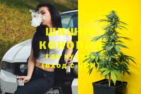 крисы Зеленокумск