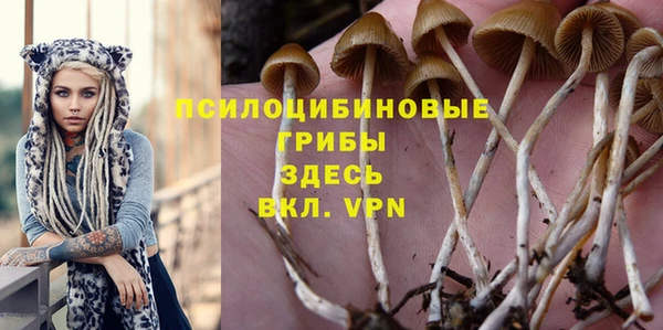 ГАЛЛЮЦИНОГЕННЫЕ ГРИБЫ Зерноград